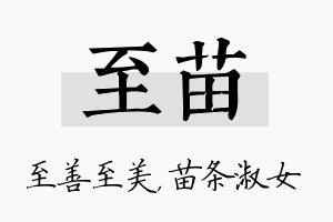 至苗名字的寓意及含义