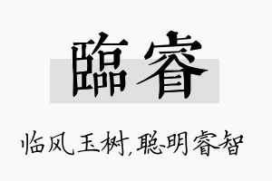 临睿名字的寓意及含义