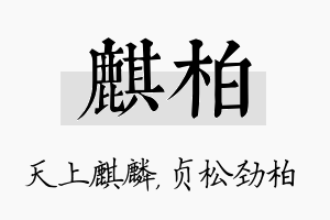 麒柏名字的寓意及含义