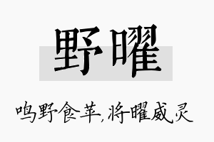 野曜名字的寓意及含义