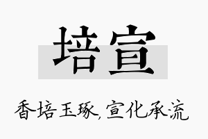 培宣名字的寓意及含义