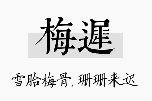 梅迟名字的寓意及含义