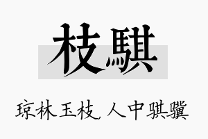 枝骐名字的寓意及含义