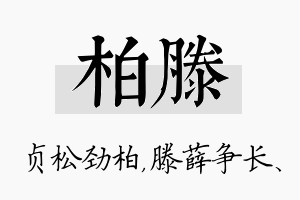 柏滕名字的寓意及含义