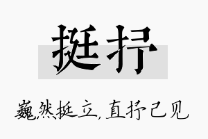 挺抒名字的寓意及含义