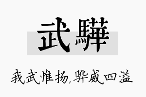 武骅名字的寓意及含义