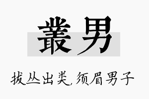 丛男名字的寓意及含义