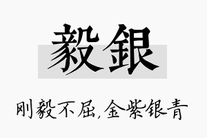 毅银名字的寓意及含义