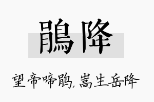 鹃降名字的寓意及含义