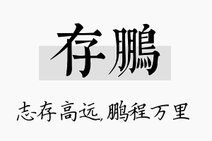 存鹏名字的寓意及含义