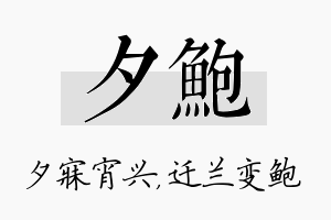 夕鲍名字的寓意及含义