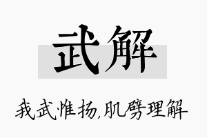 武解名字的寓意及含义