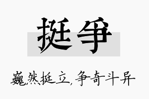 挺争名字的寓意及含义