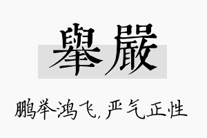 举严名字的寓意及含义