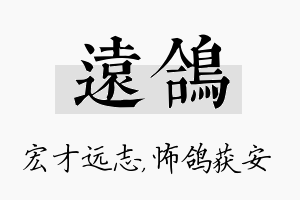 远鸽名字的寓意及含义