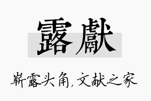 露献名字的寓意及含义