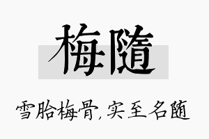 梅随名字的寓意及含义