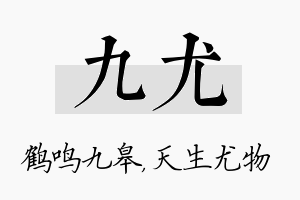 九尤名字的寓意及含义