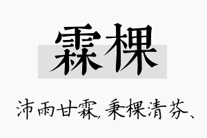 霖棵名字的寓意及含义