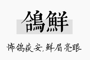 鸽鲜名字的寓意及含义