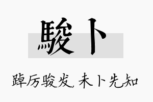 骏卜名字的寓意及含义