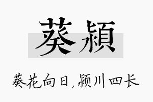 葵颍名字的寓意及含义