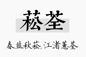 菘荃名字的寓意及含义