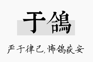 于鸽名字的寓意及含义