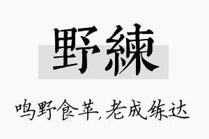 野练名字的寓意及含义