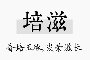 培滋名字的寓意及含义