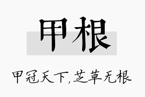 甲根名字的寓意及含义