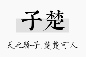 子楚名字的寓意及含义