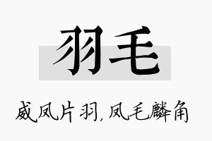 羽毛名字的寓意及含义