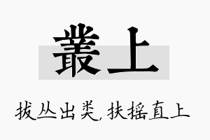 丛上名字的寓意及含义