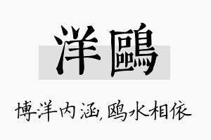 洋鸥名字的寓意及含义