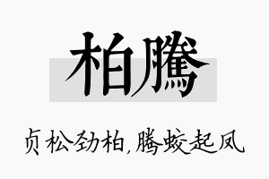 柏腾名字的寓意及含义