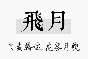 飞月名字的寓意及含义