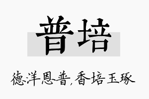 普培名字的寓意及含义