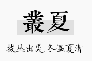 丛夏名字的寓意及含义