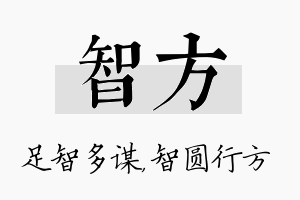 智方名字的寓意及含义