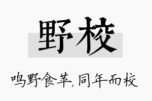 野校名字的寓意及含义