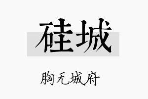 硅城名字的寓意及含义