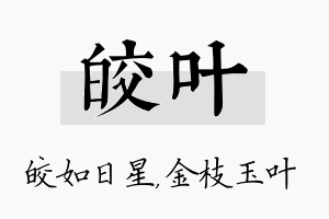 皎叶名字的寓意及含义