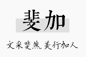 斐加名字的寓意及含义