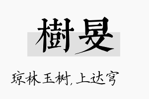 树旻名字的寓意及含义