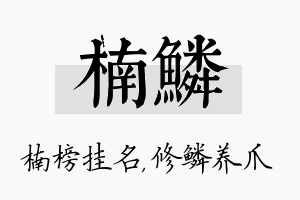 楠鳞名字的寓意及含义