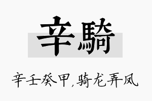 辛骑名字的寓意及含义