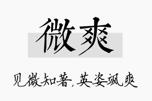 微爽名字的寓意及含义