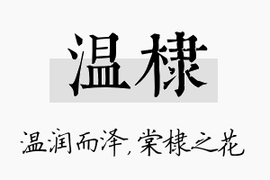 温棣名字的寓意及含义