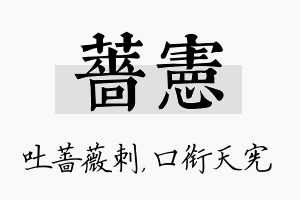 蔷宪名字的寓意及含义